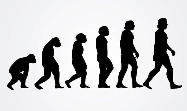 13. Этот человек известен всему миру как натуралист и зоолог, который сформулировал эволюционную теорию и эволюционизм. Как его зовут?