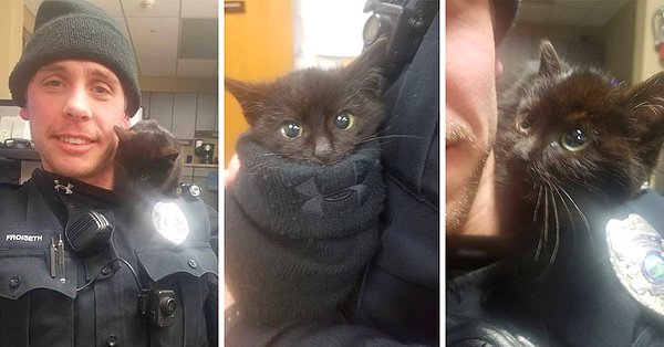 1. Bu polis memuru kurtardığı yavru kediyi en sonunda sahiplendi.