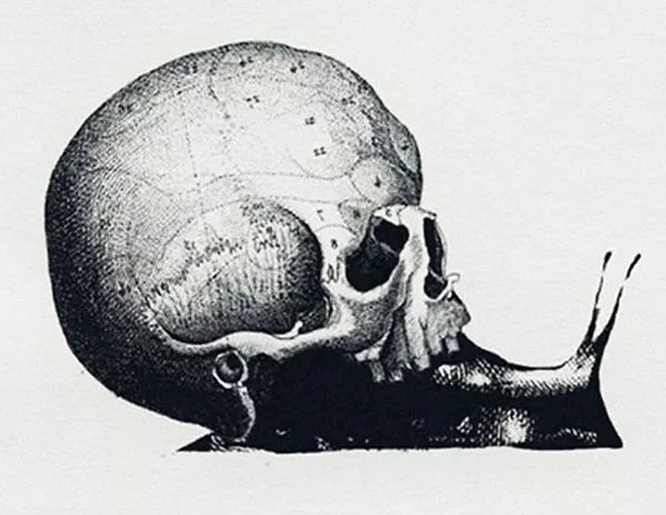 Итак, взгляните на картинку и кликните на вариант, который вы увидели первым: