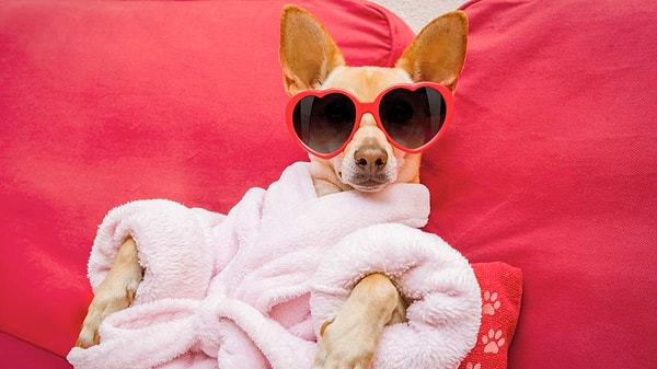 Самое время насладиться простыми радостями жизни!