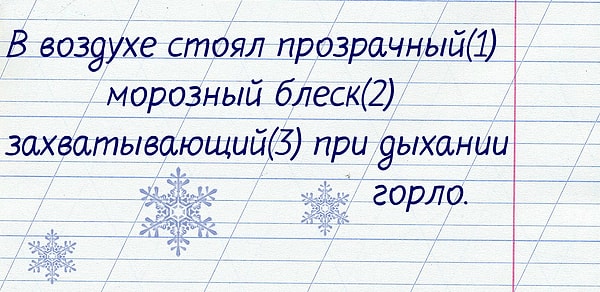 13. Выберите вариант, где запятые расставлены правильно.