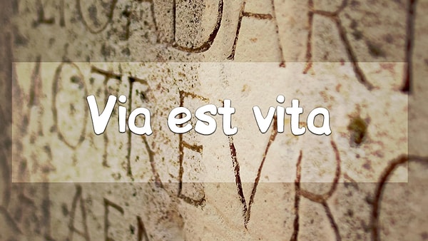 5. Есть догадки?