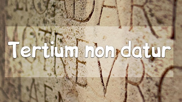 12. И, наконец, данная фраза на русском звучит как...