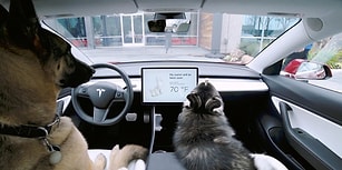 Tesla Araçları Hayvan Dostlarınızı 'Dog Mode' ile Güvende Tutuyor!