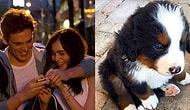 Kötü Giden Aşk Hayatınızın Tedavisini Bilim Açıkladı: Partnerinizle Beraber Minik Dostların Fotoğraflarına Bakmak!