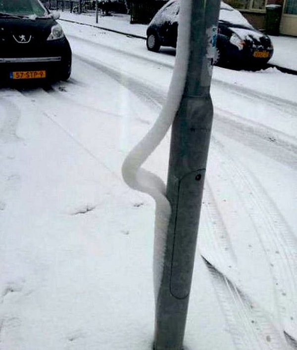 7. Он все размышлял о своем направлении