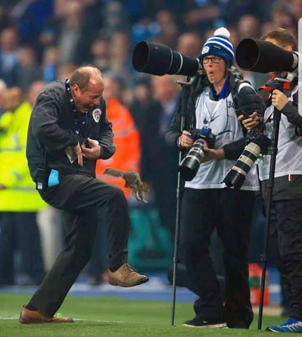 7. Как назвать человека, которого укусила белка на футбольном матче? 🤣🤣🤣