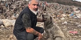Bilecik'te Çöplükten Kurtardıkları Köpeğin Yeniden Hayata Tutunmasını Sağlayan Güzel İnsanlar