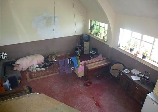 4. Боря, вставай, риелтор пришел. И Бога ради, надень штаны.