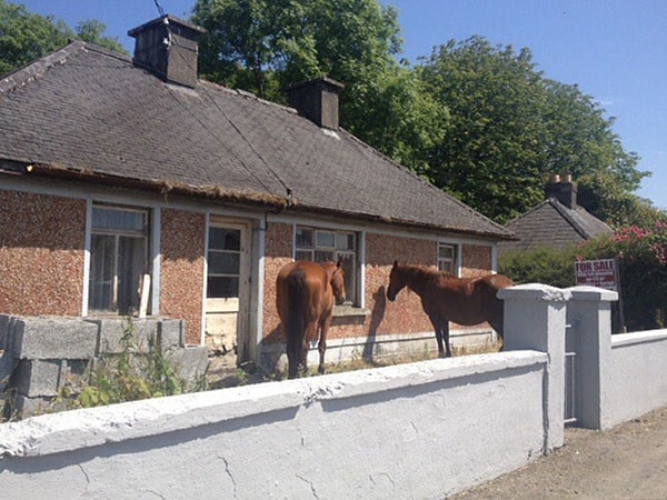 37. Рекомендую вам скорее посмотреть дом, потому что им очень живо интересуются другие мои клиенты.