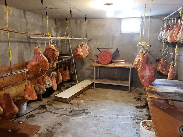 48. Боже, еще хорошо, что это тушки животных!