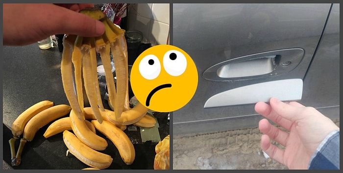 Когда день не задался: фото невезунчиков, которые вызывают смех и сочувствие одновременно