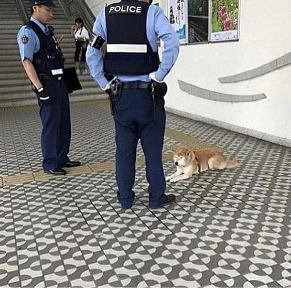 21. "Вы имеете право хранить молчание"