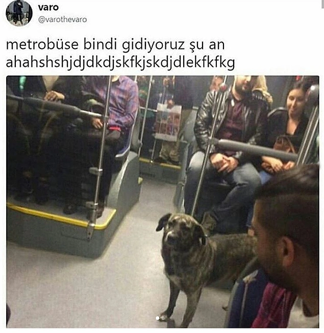 Söğütlüçeşme'de inecek var.