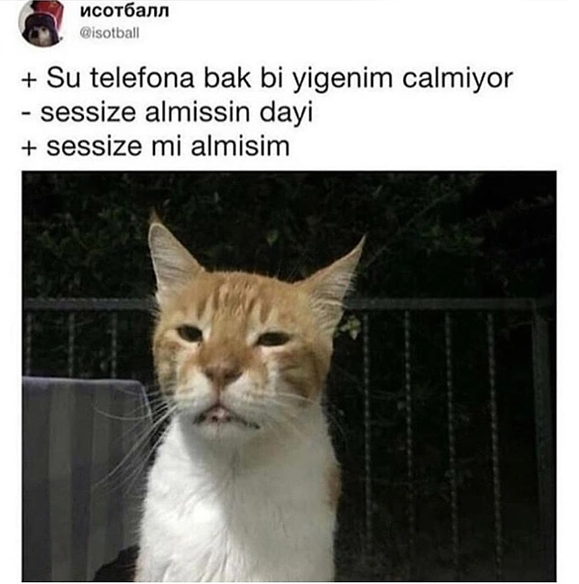 Dayı uyuma dayı.