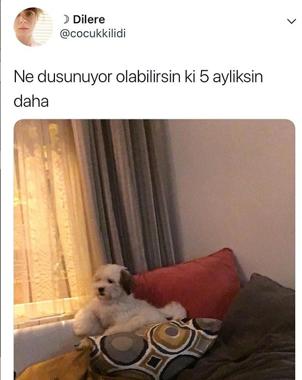 Hayatımı sorguluyorum.