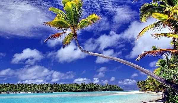 5. Представьте, что вы проснулись на необитаемом острове. Какое чувство вы бы мгновенно ощутили?