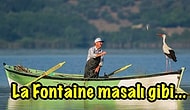 Mucize Yine Gerçekleşti! Sekiz Yıldır Her Bahar Buluşan Adem Amca ile Yaren Leyleğin İçinizi Isıtacak Hikâyesi