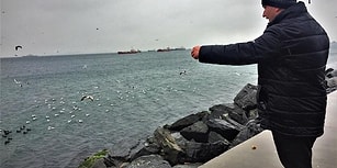 Fırtına ve Soğuk Havaya Aldırış Etmeden Her Gün Martıları Besleyen Güzel İnsan: Hayrullah Çorumlu