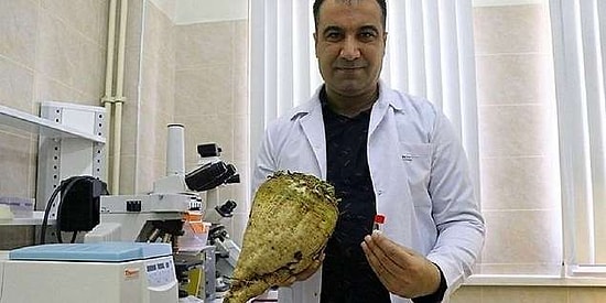 Milyar Dolarların Tasarrufuyla Tarımda Dışa Bağlılığımızı Azaltıp Verimi Artıracak 'Yerli Bakteri' Geliştirildi!