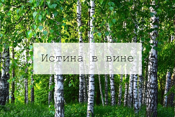 5. Знаете смысл этой пословицы? 🍷