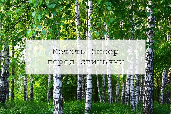 9. Знаете значение такого чудного выражения?