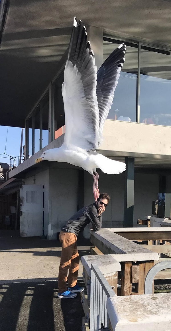 17. У каждого есть тот друг, который испортит фото