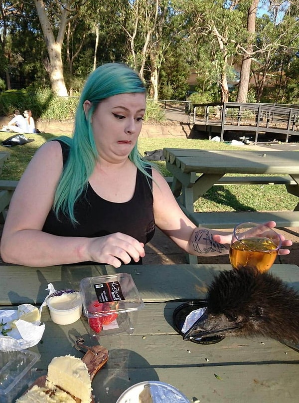 34. Вряд ли птичке это понравилось