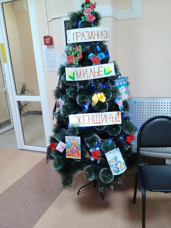 11. Когда дерево ждет своего звездного часа более 3 месяцев