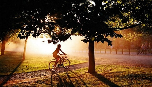 12. Жители какой страны больше всего ездят на велосипеде?