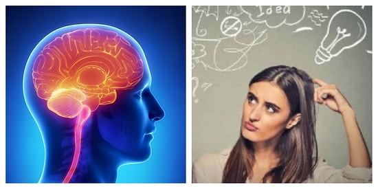 Тест: Если сможете набрать в этом тесте 13/13, уровень вашей начитанности просто зашкаливает