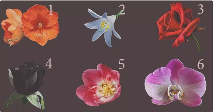 Тест: Самый красивый, по вашему мнению, цветок раскроет удивительный секрет о вашей личности