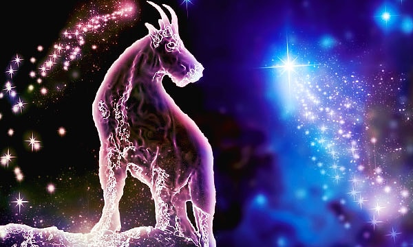 Козерог влюбляется рационально