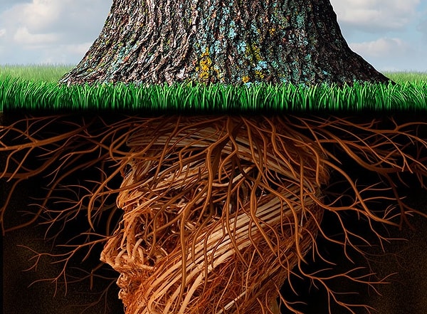 3. Что такое синдром Аспергера?