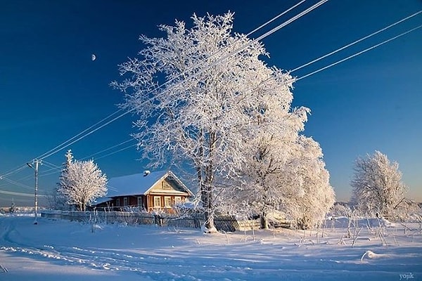 3. Кто автор этих строк: "Белая берёза, Под моим окном, Принакрылась снегом, Точно серебром."