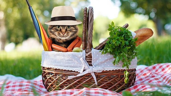 7. Что влияет на то, как вы питаетесь и занимаетесь спортом?