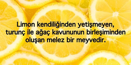 Hayati Derecede Önemli Olmasa da Öğrendiğinizde Aydınlanma Yaşayacağınız 17 Bilgi