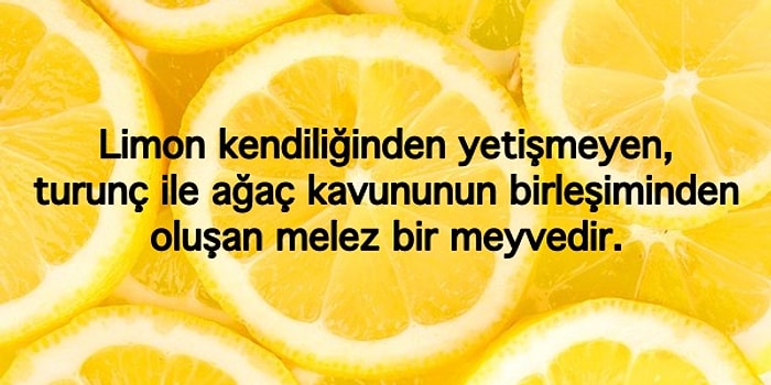 Hayati Derecede Önemli Olmasa da Öğrendiğinizde Aydınlanma Yaşayacağınız 17 Bilgi