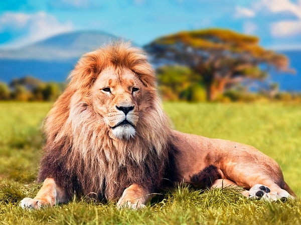 3. Где вас, вероятнее всего, можно будет найти вечером в пятницу?