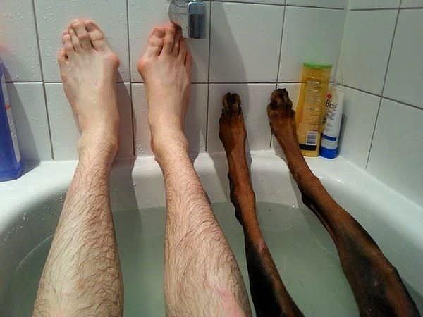 10. Sağdakilerin yanmış insan bacağı değil de köpek bacağı olduğunu anladığınızda bile fotoğraf garipliğini koruyor.