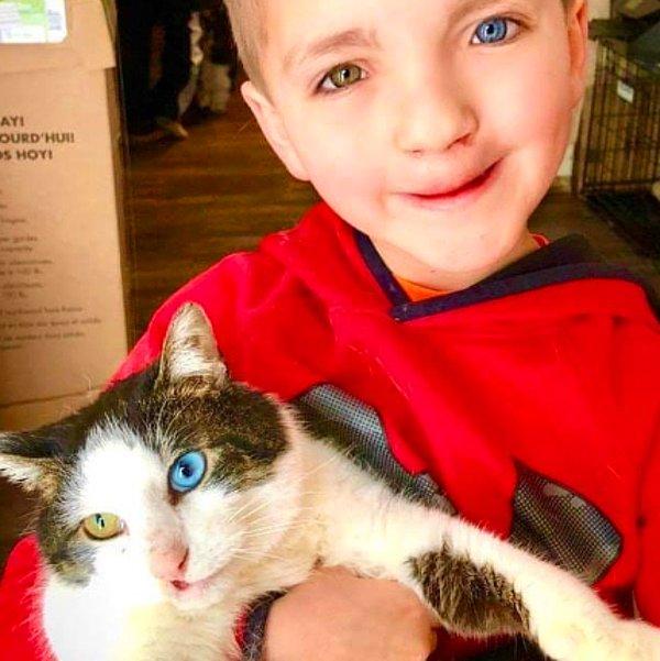 3. Gözlerinden dolayı zorbalığa uğrayan 7 yaşındaki çocuk, kendisiyle aynı durumdaki bir kedi bulmuş.