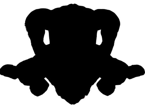 4. На что похоже это пятно?