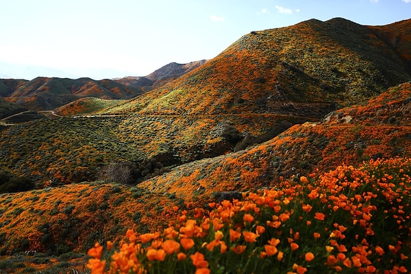 8. Сложно поверить, что это не сцена из фильма «Куда приводят мечты», а реальность 🤭