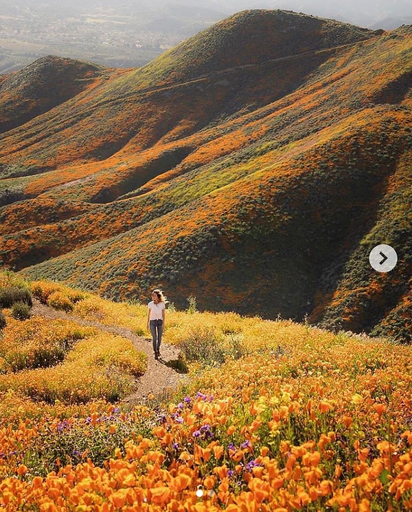 11. Фантастика!