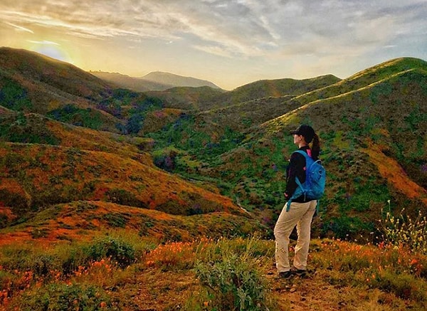 14. Ради такого пейзажа можно и встать пораньше 🌞