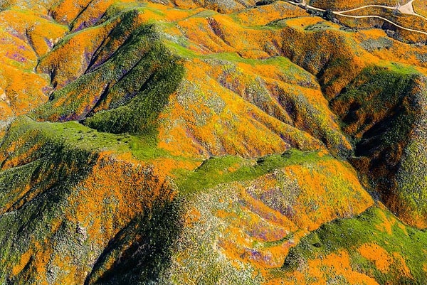 21. Суперблум: вид сверху 😍😍😍  Бурные аплодисменты природе! 👏