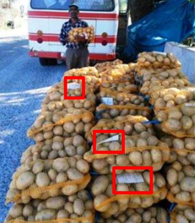 İzmir Büyükşehir Belediyesi tarafından Ödemiş ilçesine bağlı kooperatiflerden satın alınan 350 ton patates, ihtiyaç sahibi 135 bin aileye dağıtılmıştı.