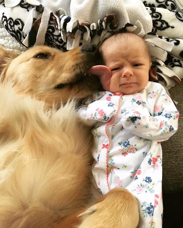 5. "Happy dog, unhappy baby. The baby is learning to make compromises."