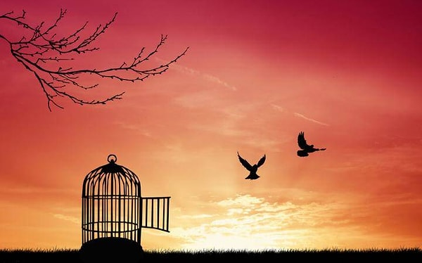 5. На ваш взгляд, у людей есть свобода?