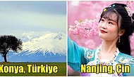 Baharın Gelişiyle İçinizde Çiçekler Açtıracak Dünya Çapında 22 Fotoğraf
